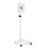 AVXANKTG 24-43 Inch TV Cart White Monitor Screen Free Lift Rolling Mounting Bracket Trolley view 1