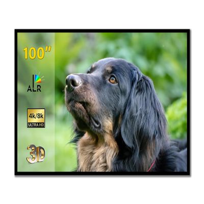 ALR Screen for UST Projector, 100 inch Fresnel ALR Fixed Frame Projector Screen Wall Mount 16:9 8K/4K 3D, Gray Projection Screen and 0.39 inch Ultra-Narrow Bezel for Movies and Games