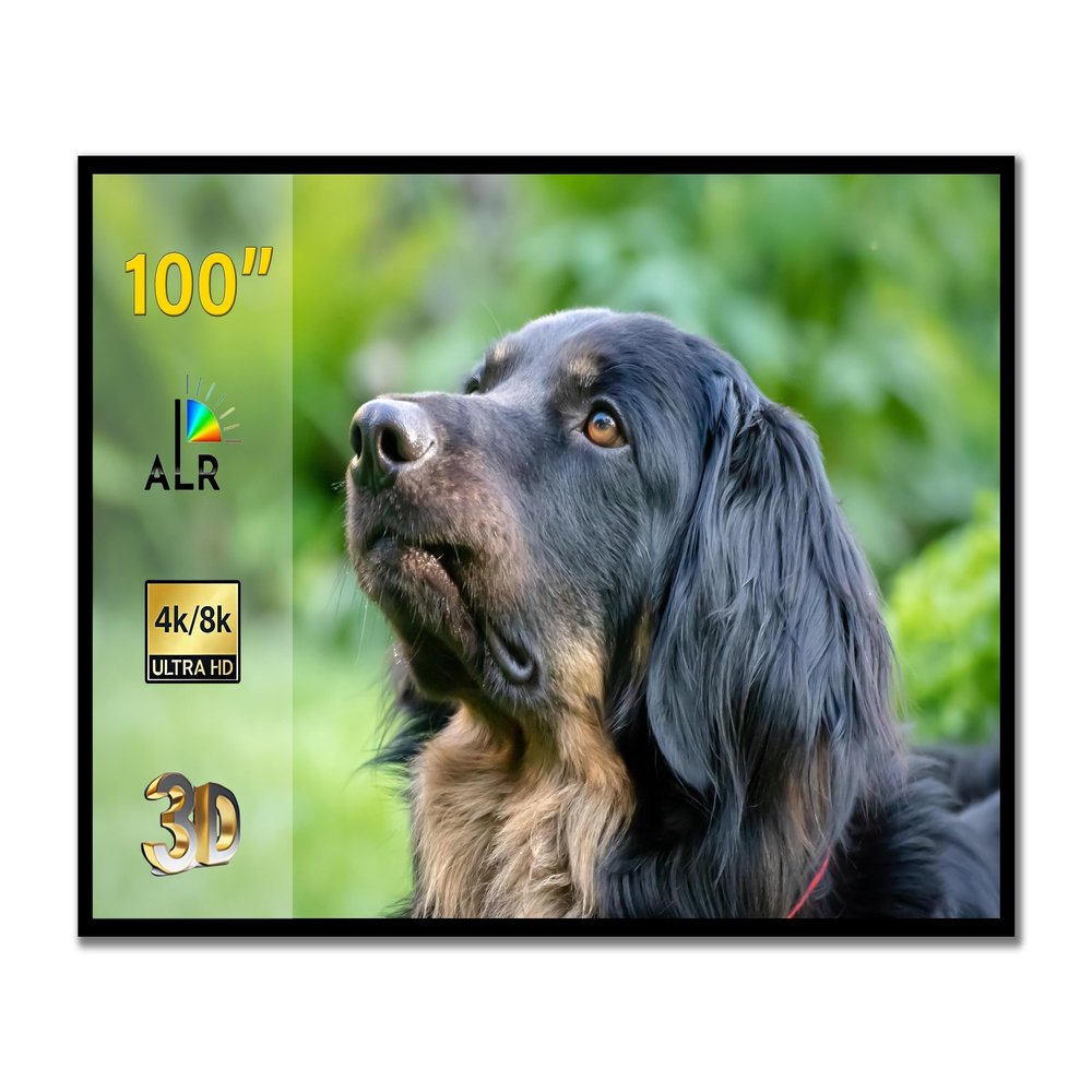 ALR Screen for UST Projector, 100 inch Fresnel ALR Fixed Frame Projector Screen Wall Mount 16:9 8K/4K 3D, Gray Projection Screen and 0.39 inch Ultra-Narrow Bezel for Movies and Games