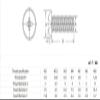 1000PCS M2.5 * 4/5/6/8/10/12/16 White Round Head Cross Nylon Screw Phillips Round Head Screw 2.5mm Screw Bolt(12mm 1000pcs) view 3