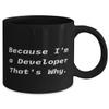 Special Developer Gifts, Because I'm a Developer That's Why, Love Birthday 11oz 15oz Mug For Colleagues From Friends view 2
