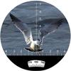 Binoculars 7X50 Binoculars for Adults, Waterproof Binoculars with rangefinder BAK4 Prism FMC Lens for Birdwatching Hunting Boating view 3