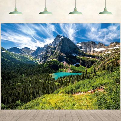 15x8ft Mountain Backdrop Nature Scenery Pine Trees Forest Blue Lake Sky Photography Background Camping Picnic Themed Party Decorations Kids Adults Outdoor Portraits Photo Studio Props