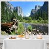 12x8ft Mountain Backdrop Nature Mountain River Landscape Pine Trees Forest Photography Background Camping Adventure Themed Party Decorations Kids Adults Outdoor Portrait Photo Studio Props view 4