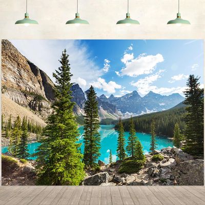 15x10ft Mountain Backdrop Natural Mountain Scenery Lake Pine Trees Forest Photography Background Landscape Camping Themed Party Decorations Wallpaper Kids Adults Portraits Photo Studio Props