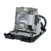 Advanced Lamps 5811100784-S Lamp & Housing for Vivitek Projectors - Fits 20-02031-001, D925TX, D927TW, D935EX, SP8600-HD3D, SP LAMP065-1 Unit Per Pack - 90-Day Warranty view 2
