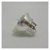 FANGLIYN Compatible Bare Bulb 5J.05Q01.001 lamp for W20000 W5000 view 3