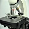 DirectNine Basics WF10X/18mm Biological Microscope Laboratory Lab Education LED view 2