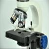 360Rotatable 40X-640X Biological Microscope Student Lab Education LED view 3