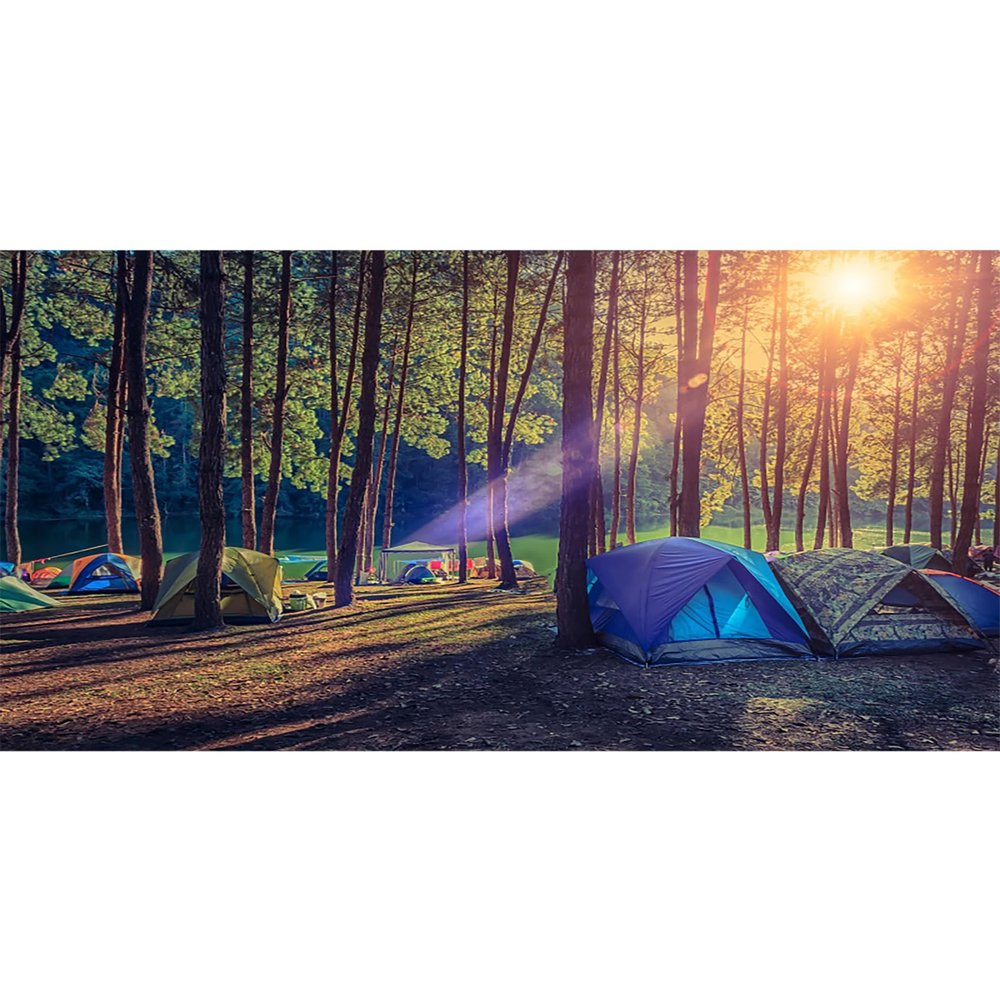AOFOTO 20x10ft Summer Camp Backdrop Riverside Forest Camping Scene Tents Sunshine Photography Background School Classroom Camping Theme Party Decorations Kids Students Outdoor Study Photo Shoot Props