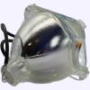 Advanced Lamps 69440 Bulb (Lamp Only) for Various Applications view 3