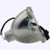 Advanced Lamps 69440 Bulb (Lamp Only) for Various Applications view 4