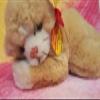 Generic Floppy Sleeping 5620/18 10"" view 3