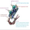 1pcs Low Pass Filter Bass Subwoofer Single Power DC 18-32V Pre-AMP Amplifier Board Dual Channel with Bass Volume Control view 2