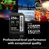Lexar Professional Silver Plus SDXC UHS-I Card 256GB Memory Card view 2