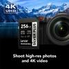 Lexar Professional Silver Plus SDXC UHS-I Card 256GB Memory Card view 3
