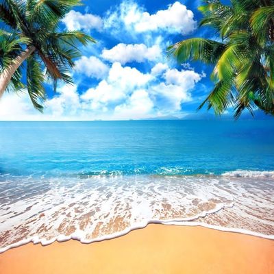 Pnylzzyxh Summer Tropical Beach Backdrop Blue Sea Sky White Clouds Palm Trees Backdrop Theme Portrait Photography Background Holiday Photo Video Studio Props Banner 15x10ft