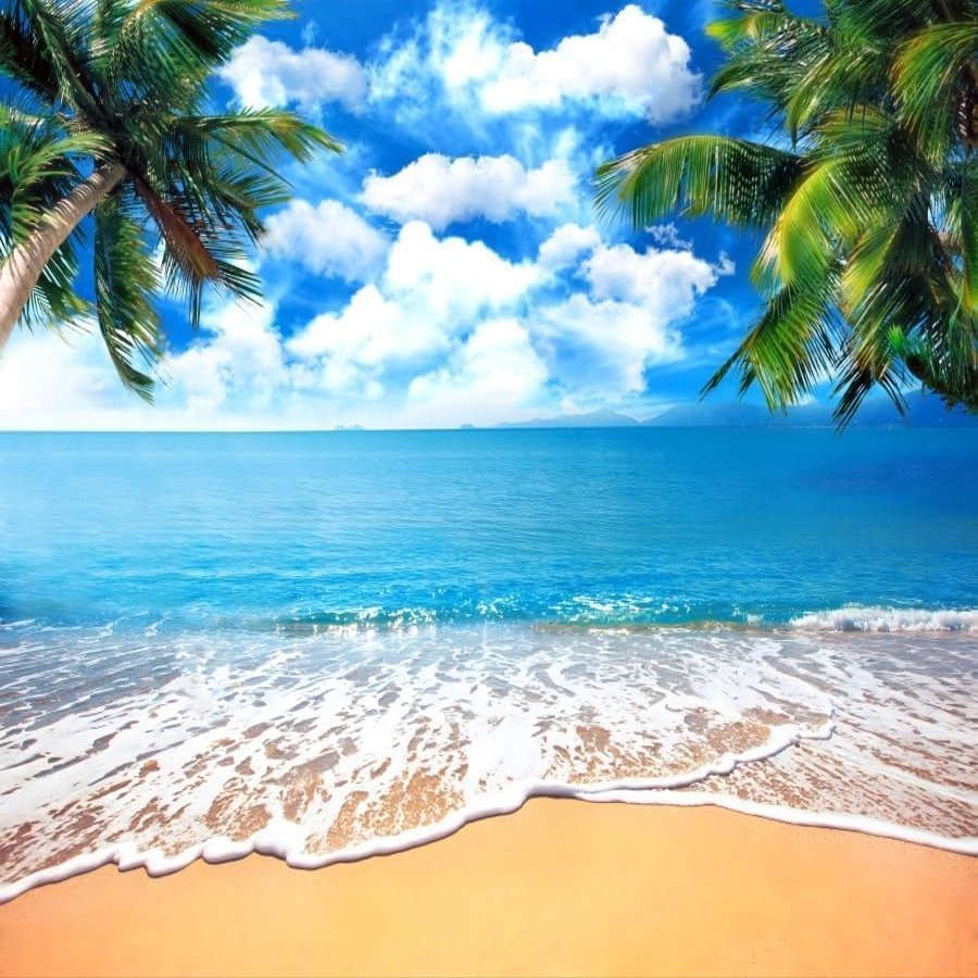 Pnylzzyxh Summer Tropical Beach Backdrop Blue Sea Sky White Clouds Palm Trees Backdrop Theme Portrait Photography Background Holiday Photo Video Studio Props Banner 15x10ft