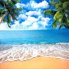 Pnylzzyxh Summer Tropical Beach Backdrop Blue Sea Sky White Clouds Palm Trees Backdrop Theme Portrait Photography Background Holiday Photo Video Studio Props Banner 15x10ft view 1