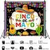 Pnylzzyxh Cinco De Mayo Backdrop Mexico Fiesta Photo Backdrop Stripes Sombrero Guitar Cactus Taco Chilly Avocado Photography Backdrop for Fiesta Party Decorations Banner Studio Props 12x10ft view 3