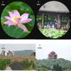 DirectNine Basics High Power Binoculars, 15x50 Monocular Telescope, High Power Waterproof Monocular Telescope with 22mm Large View Eyepiece BAK4 Prism Lens Monocular for Adults Kids Bird Watching Concerts view 4