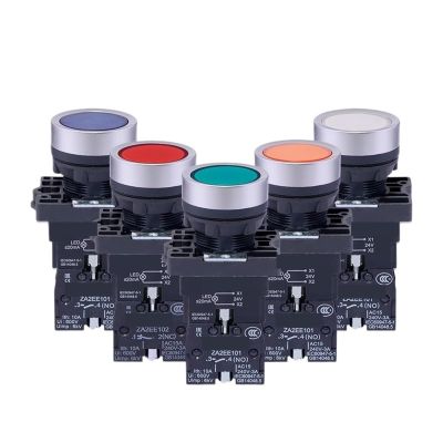 BSXYLVA XA2 illuminated button AC220V 24V five colors optional 22mm self-reset plastic button switch(XA2EW34B1 ACDC24V Red 1Normal Open)