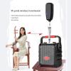 Depisuta 2.4G Wire less Erhu Microphone, Violin Microphone Pickup with Noise Reduction, 3.5mm to 6.35mm Adapter, Anti Interference Microphone Pickup for Instruments, Depisutagb8ve56i24 view 3