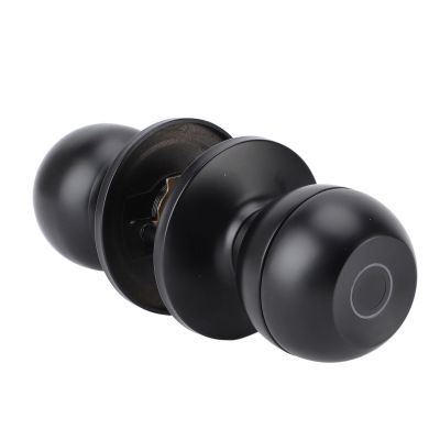 DirectNine Basics Smart Fingerprint Door Knob Lock, App Control, 3 Ways to Unlock Mechanical Backup Key Keyless Entry Fingerprint Door Knob for Home, Office, Apartment, with Type C Charging (Black)