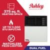 Ashley Wall Heater, Dual Fuel, 11k Direct Vent view 2