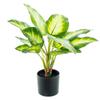Alexandra House Living Decorative Plant Plastic Aglaonema 50 cm view 1