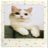 Fujifilm Instax Mini Sprinkles Film - 10 Exposures view 4