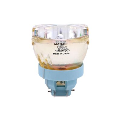 HUSILKY 461W Bulb Shake Head Projection Light 461W Light
