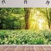 10x6.5ft Spring Natural Scenery Backdrop Forest Park Garden Flowers Photography Background White Floral Dandelion Sunshine Landscape Decorations Wedding Birthday Party Banner Photo Booth Props view 2