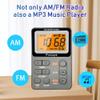 Paeiope Portable Radio AM FM, Rechargeable Pocket Speaker with Best Reception Digital Tuning, MP3, Stereo Earphone, Large LCD Screen, TF Card Socket, Transistor Radio for Jogging/Gym/Camping (Grey) view 3