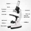 Children's 1200X Microscope Set 90 Freely Adjustable monocular Microscope Objective Lens (15x 30x 60x) Suitable for Children Students view 3
