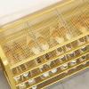 Shoe Rack Shoe Rack for Entryway, 3/4/5 Tiers Metal Mesh Freestanding Shoe Organizer, Space Saving Shoe Storage Shelf for Hallway, Living Room,Closet(Black/Gold) Shoe Organizer Rack(Gold,3-Layers 80cm view 4