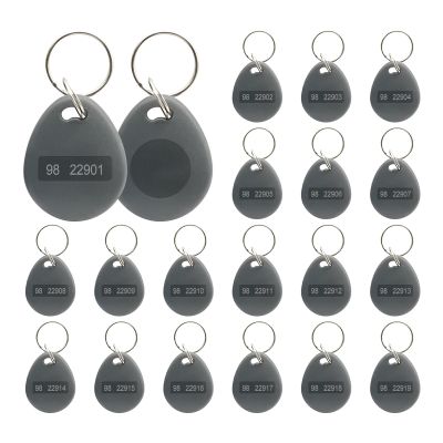 HSOKEW 125KHz RFID Key Fob, 26 bit Keyfob Proximity Fob Compatible with Prox Key ISO-Prox 1346 1386 1326 H10301 Readable, Reproducible Rewritable Hid Card for Card Reader, 98/99 Site Code, 100Pc