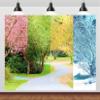 CORFOTO 9x6ft Four Seasons Tree Backdrop Four Seasons Backdrop Spring Summer Autumn Winter Nature Landscape Backdrop Same Place Four Season Photography Backdrop Birthday Art Photo Studio Prop view 1
