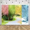 CORFOTO 9x6ft Four Seasons Tree Backdrop Four Seasons Backdrop Spring Summer Autumn Winter Nature Landscape Backdrop Same Place Four Season Photography Backdrop Birthday Art Photo Studio Prop view 2