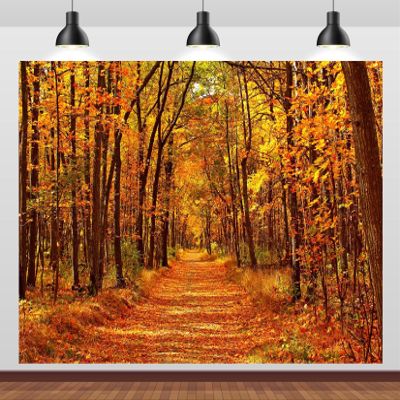 CORFOTO 5x4ft Autumn Backdrop Autumn Forest Backdrop Outdoor Autumn Scenery Photography Background Autumn Fall Leaves Backdrop Autumn Scenery Backdrop Wedding Birthday Party Decor Studio