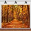 CORFOTO 5x4ft Autumn Backdrop Autumn Forest Backdrop Outdoor Autumn Scenery Photography Background Autumn Fall Leaves Backdrop Autumn Scenery Backdrop Wedding Birthday Party Decor Studio view 1