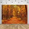 CORFOTO 5x4ft Autumn Backdrop Autumn Forest Backdrop Outdoor Autumn Scenery Photography Background Autumn Fall Leaves Backdrop Autumn Scenery Backdrop Wedding Birthday Party Decor Studio view 2