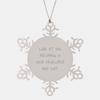 DirectNine Basics Web Developer Snowflake Ornament Gifts from Friends to Coworkers - 'Look At You Becoming A Web Developer and Shit', Small, Silver view 1