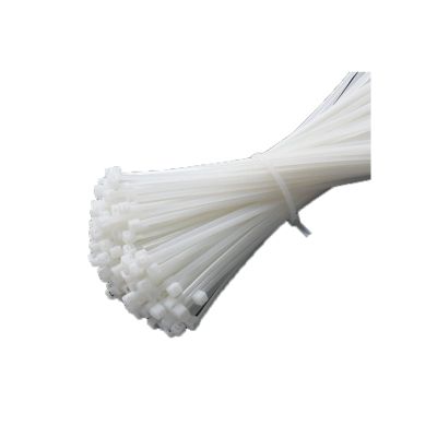 100 pcs plastic ties for home use25CM*0.4CMwhite (100PCS)