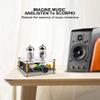 PGNEX Audio 6A2 Tube Preamplifier HIFI Tube Stereo Preamp Bile Buffer Audio AMP Speaker Power Amplifier Home Theater view 4
