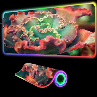 RGB Mouse Pads Flower Mouse Pad Mat LED Large Gaming Play Mats Carpet Desk Keyboard Computer Laptop Mat (D,24x12 inch)