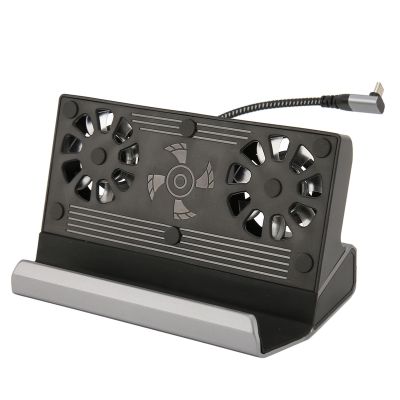 10 in 1 Dock Station Hub, USB C Docking Station with Dual Cooling Fan, Aluminum Alloy for Steam Deck Docking Station, HD Multimedia Interface 2.0 Output