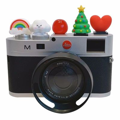 Cute Hot Shoe Cover, Christmas Hot Shoe Cap, Hot Shoe Protector /2519