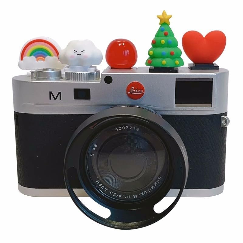 Cute Hot Shoe Cover, Christmas Hot Shoe Cap, Hot Shoe Protector /2519