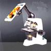 PGNEX High Definition Biological Microscope LED Electron Microscope Achromatic Objective Microscope view 4